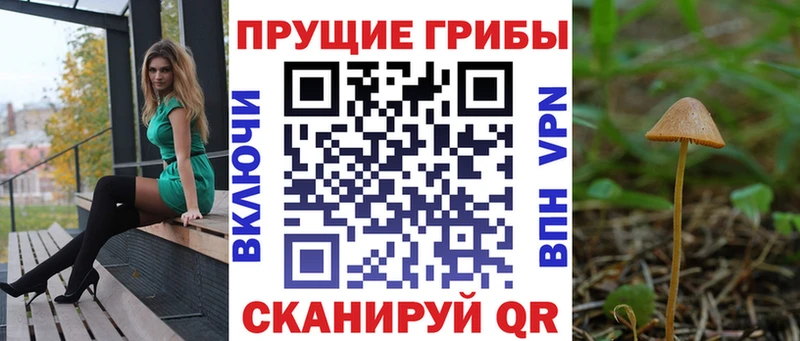 Галлюциногенные грибы Psilocybine cubensis  сколько стоит  Аргун 