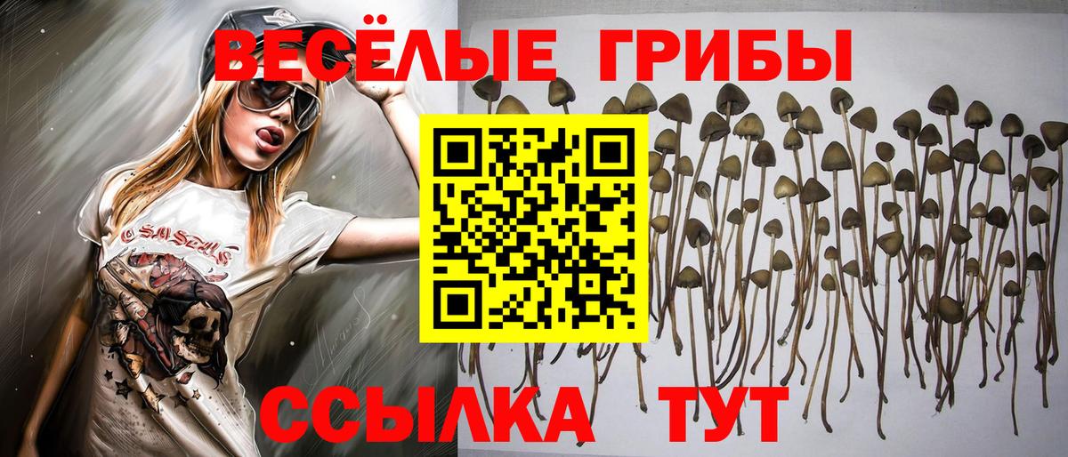 Аргун  Галлюциногенные грибы MAGIC MUSHROOMS  Галлюциногенные грибы прущие грибы  Вход с VPN 