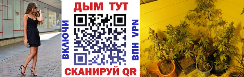 как найти   mega сайт  Конопля Bruce Banner  Аргун 