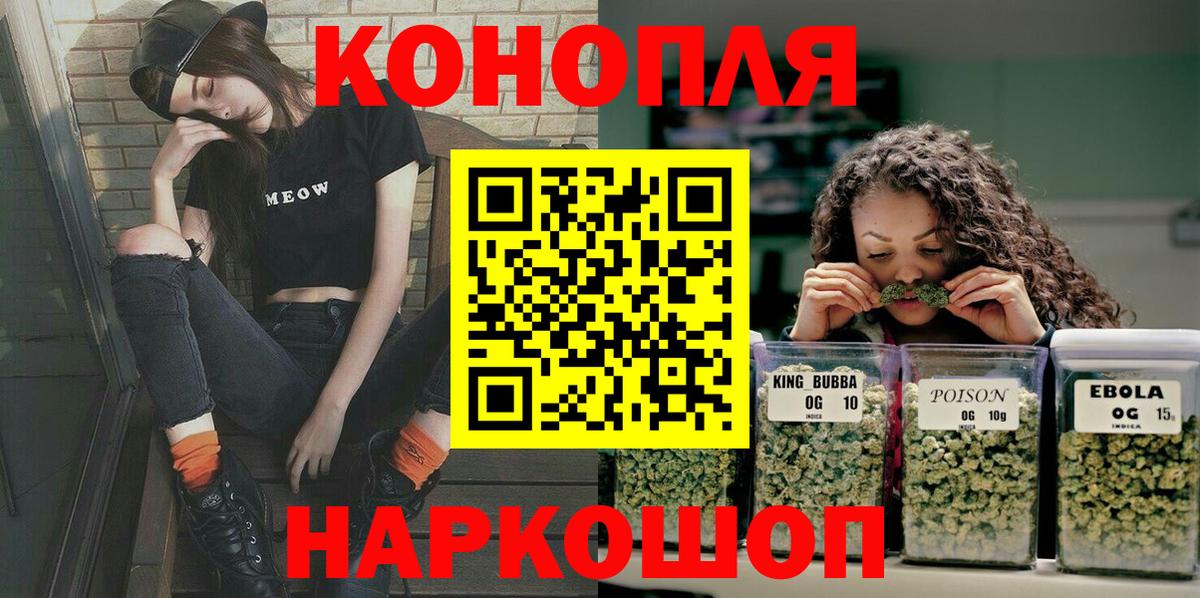 Аргун  Бошки Шишки индика  Конопля план  Вход с VPN 